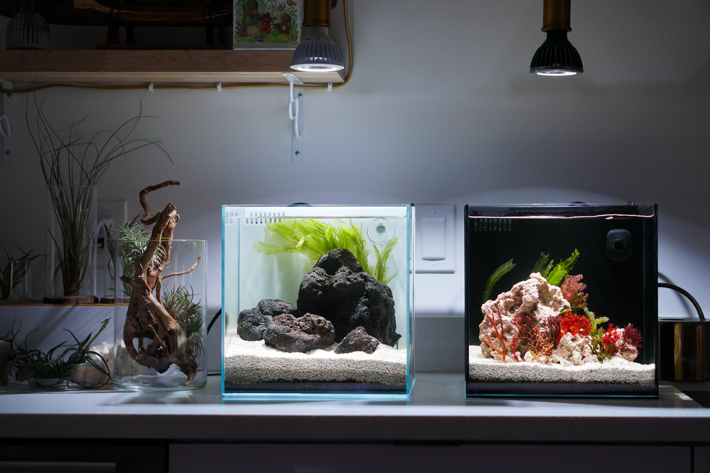 SUSANOO 10W Aquarium LED