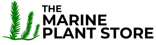 The Marine Plant Store